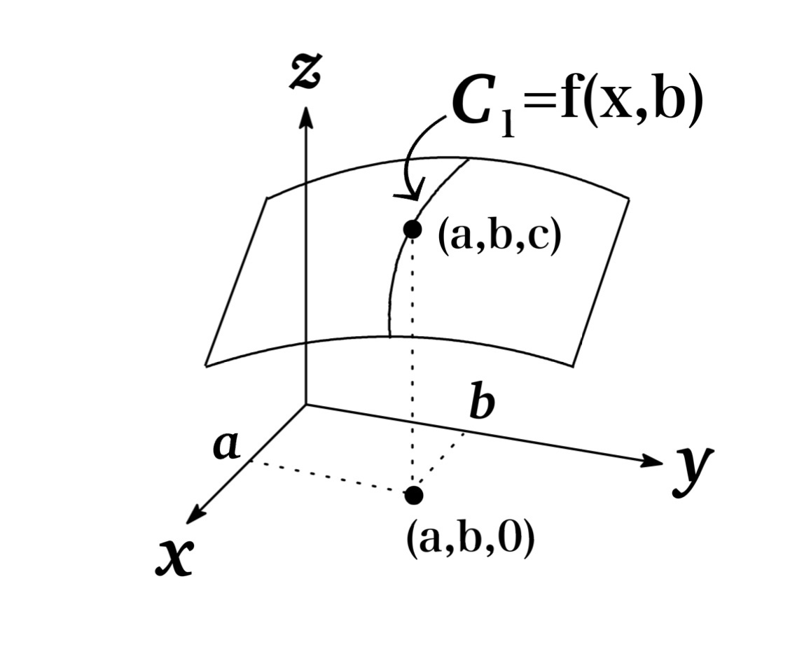 solved-describe-the-geometric-interpretation-of-partial-chegg